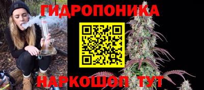 гашик Тулун