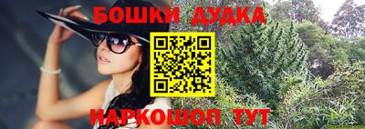 гашик Тулун