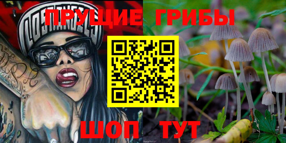 Псилоцибиновые грибы прущие грибы Холмск
